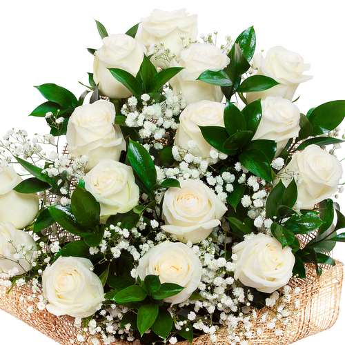 15 Graceful White Roses Bunch