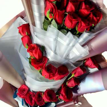 Glory of 25 Red Roses Bunch