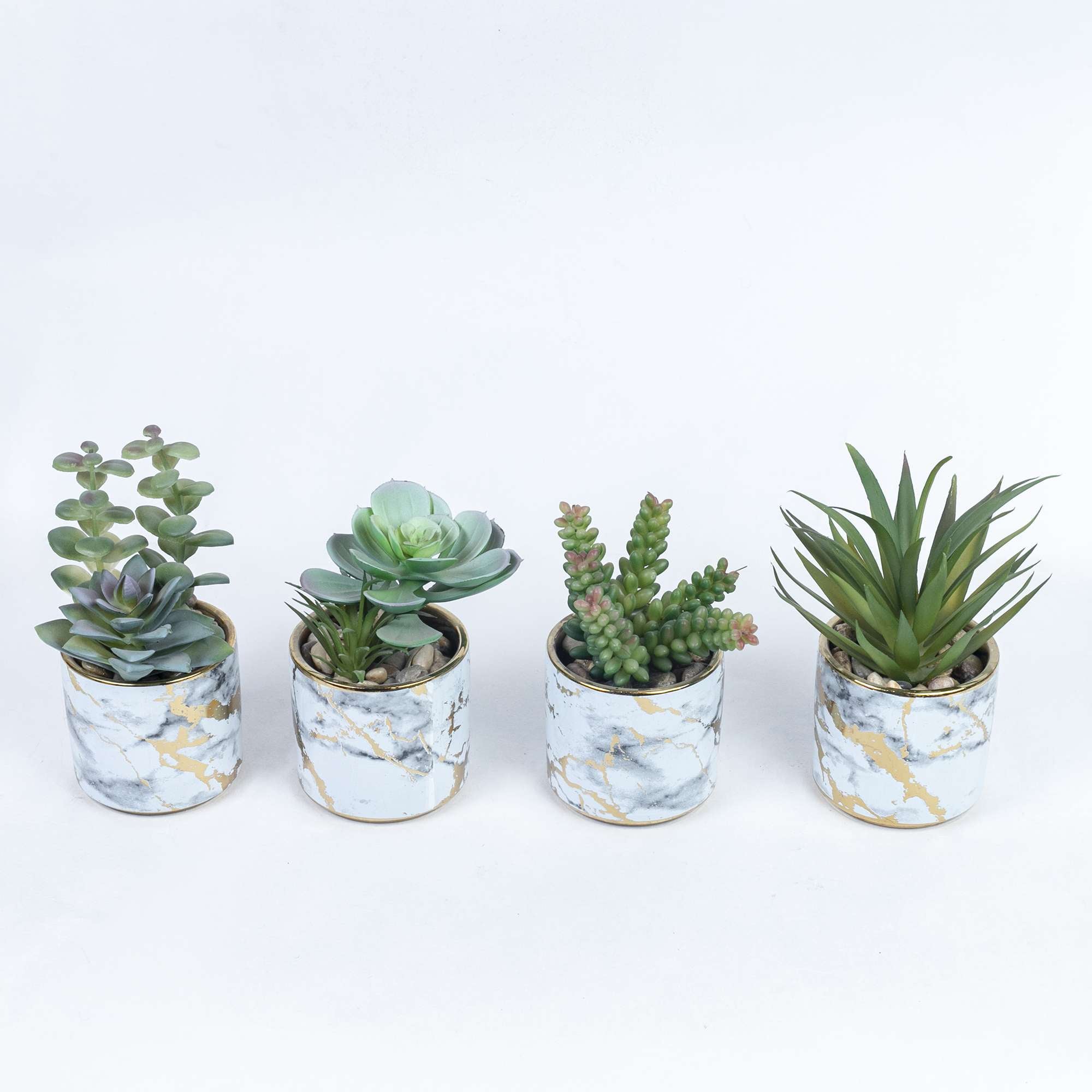 Succulent in Golden Plette Ceramic Pot