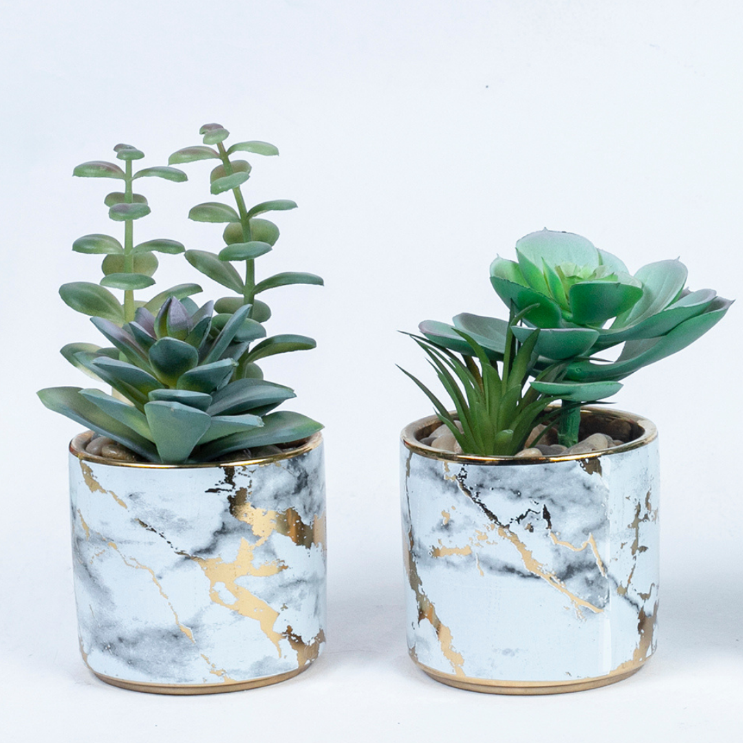 Succulent in Golden Plette Ceramic Pot